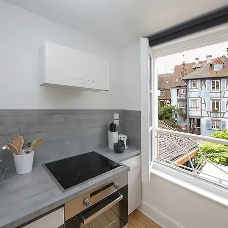 Reflets Sur La Lauch appartements Colmar Extérieur photo